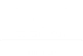 KÖY Zekeriyaköy